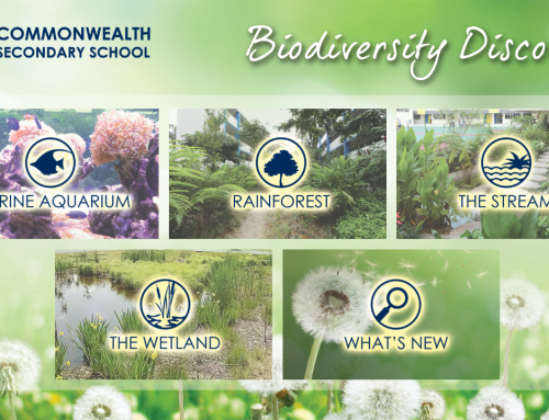 Commonwealth Secondary School Biodiversity Discovery Kiosk CMS